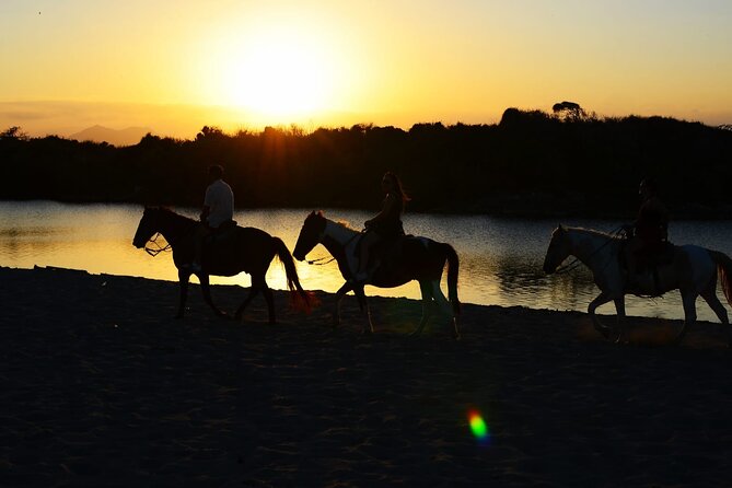 2-Hour Horseback Riding Tour at Sunset from Punta Cana - Key Things You’ll Really Notice