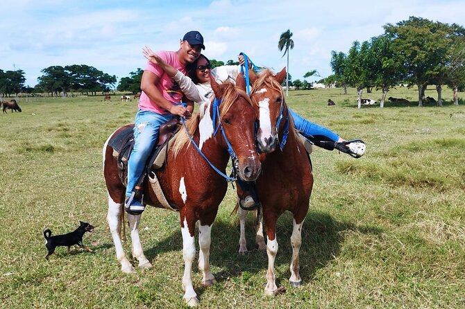 2-Hour Horseback Riding Tour at Sunset from Punta Cana - Hotel Pickup and Getting Oriented Fast