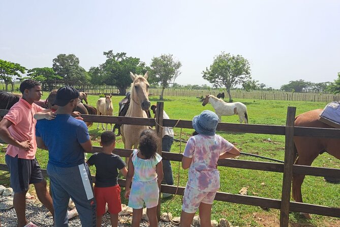 2-Hour Horseback Riding Tour at Sunset from Punta Cana - Safety and Horse Care: What the Best Notes Keep Repeating