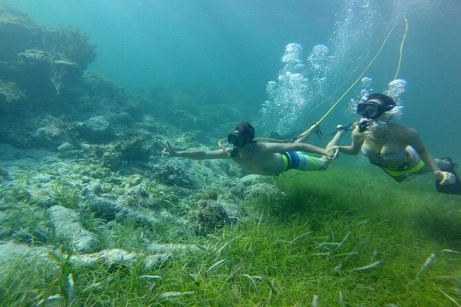 3 ADVENTURES: Sailing Catamaran Cruise - Hooka Diving - Snorkeling - The Marine Life Reality Check: What You Might See