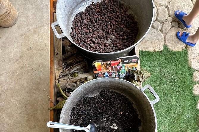 4x4 ATV Adventure in Punta Cana: Cave & Dominican Culture - Organic Farm Stop: Coffee, Chocolate, and Dominican Treats