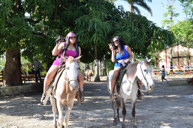 5 tours in 1 (Eco Farm/Horseback/City Tour/Buggy/Zipline) - Anamuya Eco Farm Time: Coffee and Cocoa With Real Daily Life
