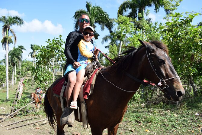 5 tours in 1 (Eco Farm/Horseback/City Tour/Buggy/Zipline) - Zipline Over the Mountains: Suspension Bridge and a Tower System