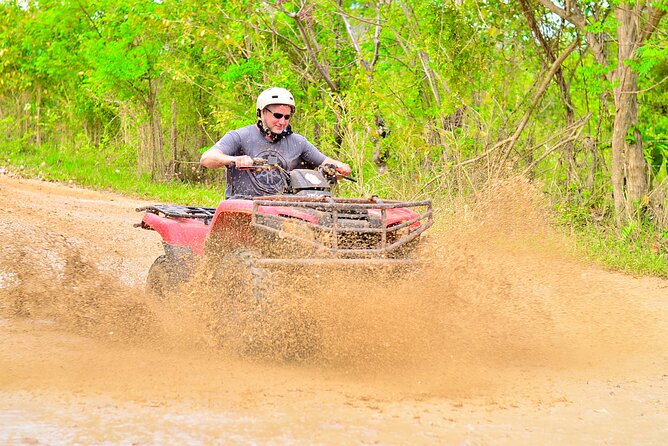 ATV OR BUGGY Ride Into the jungle with cave coffee & chocolate - Coffee, Chocolate, and Rum at the Organic/Ecological Farm