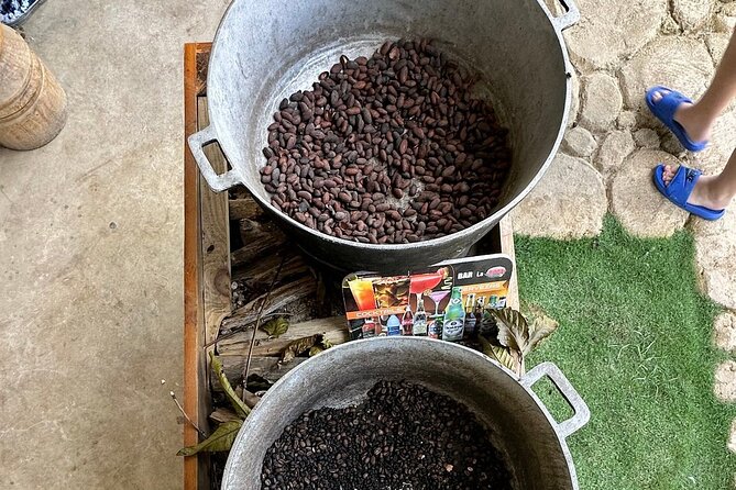 Buggy Adventure Tour with Chocolate and Coffee in Punta Cana - Key Things I’d Watch Before You Go