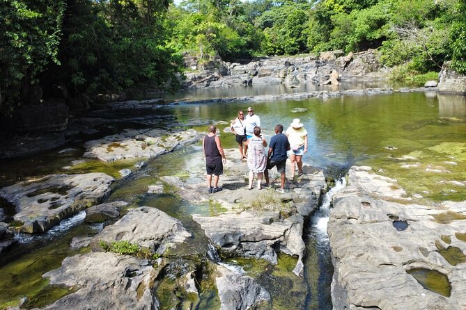 Buggy Ride, Horseback, Zipline,Eco Farm,Macao Beach - Chocolate, coffee, and tobacco stop that breaks up the rush