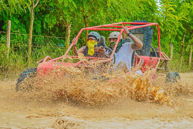 Buggy Ride Into the jungle with cave coffee & chocolate tasting - Ecological Farm Chocolate and Coffee Tasting: What You’ll Learn and What You’ll Decide