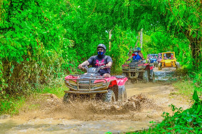 Buggy Ride Into the jungle with cave coffee & chocolate tasting - Which Guides Make It Better: Coca Cola, Mr Panda, and Denali