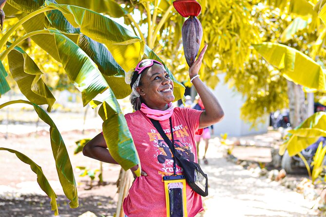 Buggy Tour Punta Cana: MagicalCaves ,Dream Beaches & Culture - Guides, Mechanics, and Safety: What’s Included and What You Should Check