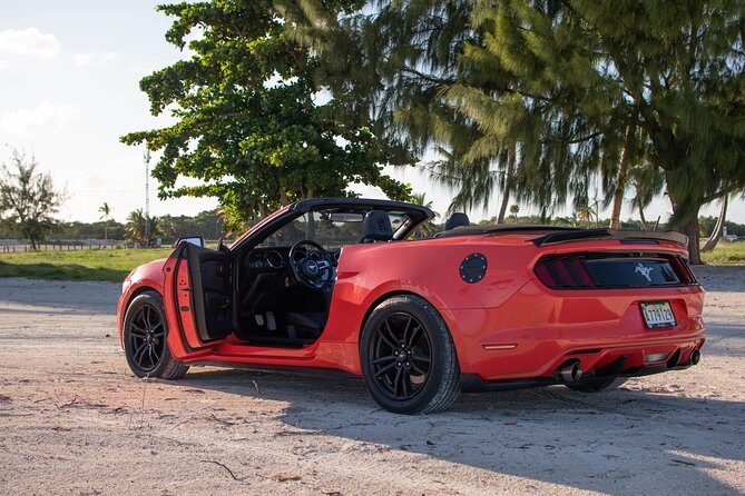 Cars for Rent in Punta Cana - Why the no-itinerary format feels better than you expect