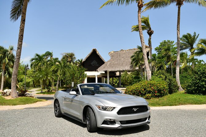 Cars for Rent in Punta Cana - Service quality: what the best reviews consistently reward