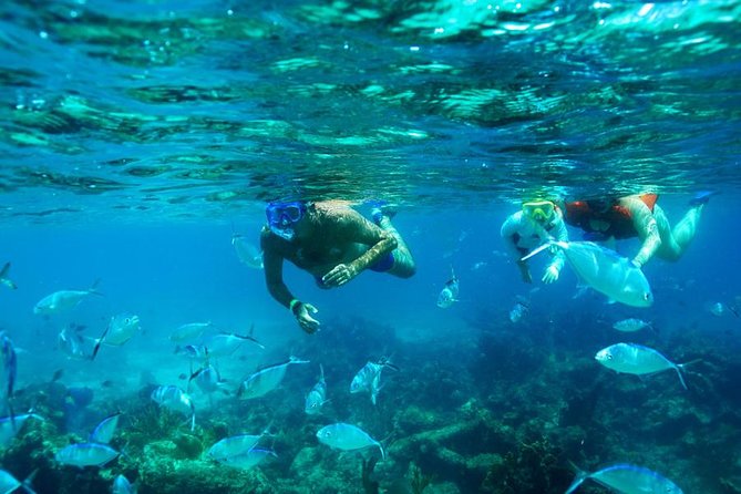 Catamaran Booze Cruise And Snorkeling Punta Cana - Adults Only - Going Party Boat at a Glance: What You’re Actually Buying
