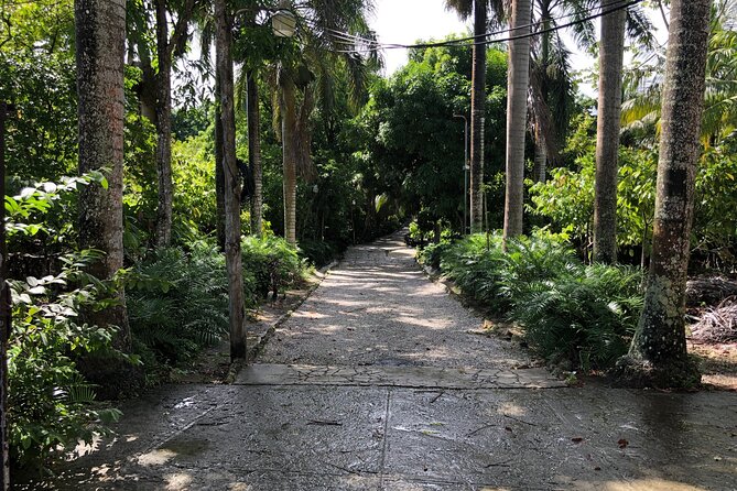 Discover Dominican life - Anamuya: where Dominican products start (not where they’re sold)