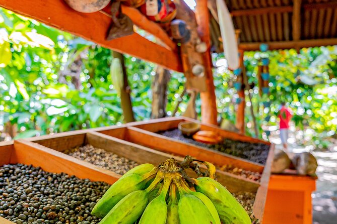 Dominican Republic Countryside Safari Tour from Punta Cana - The Horseback Ride: Fun Included, Conditions Vary