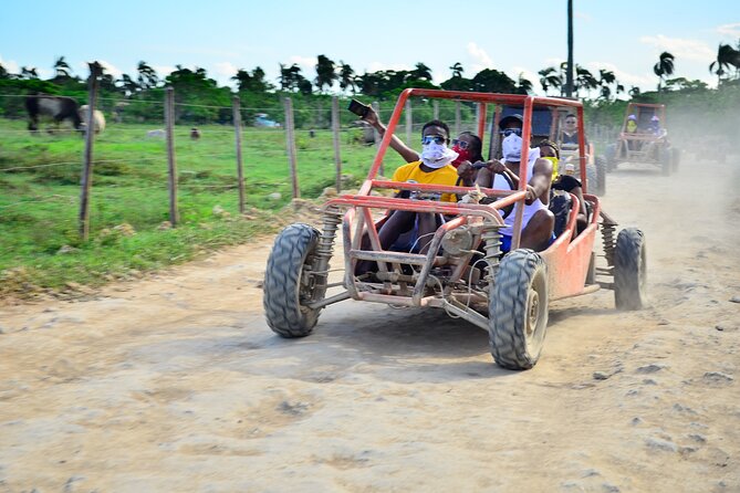 Dune Buggy Adventure at Punta Cana - Dominican Countryside Stops: Coffee, Chocolate, Mamajuana, and Green Tea