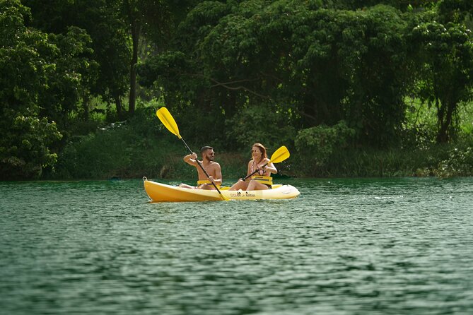 Eco Park Punta Cana by Marinarium Parks - Views, fruit, and the beehive area swings