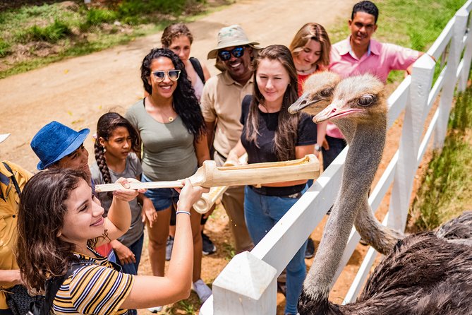 Eco Park Punta Cana by Marinarium Parks - Price and value: is $90 worth it for your type of trip?