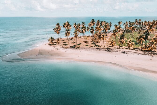 ECO TOUR Playa El Limon (Excursion Multi-activites) - Key highlights worth knowing