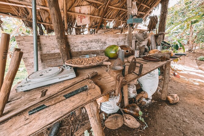 ECO TOUR Playa El Limon (Excursion Multi-activites) - The farm stop and cacao learning: culture you can see, not just read about