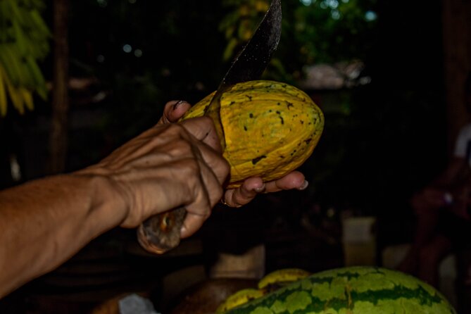 ECO TOUR Playa El Limon (Excursion Multi-activites) - Swimming, coconuts, and the last stretch of beach time