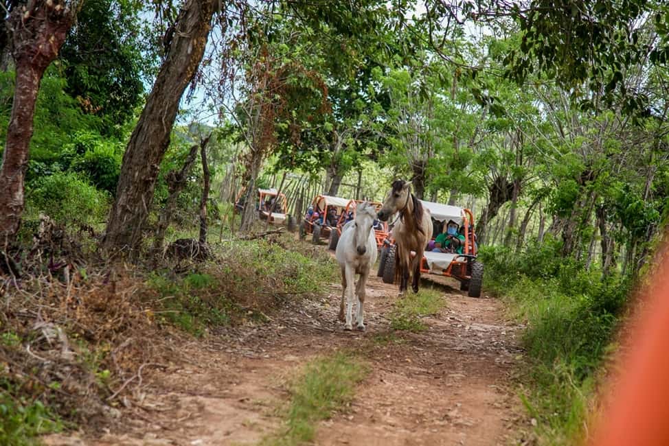 Flintstones Buggy, Cave and Adventure in Bavaro - Fantasy Cave walk: private access, illuminated formations, and uneven footing