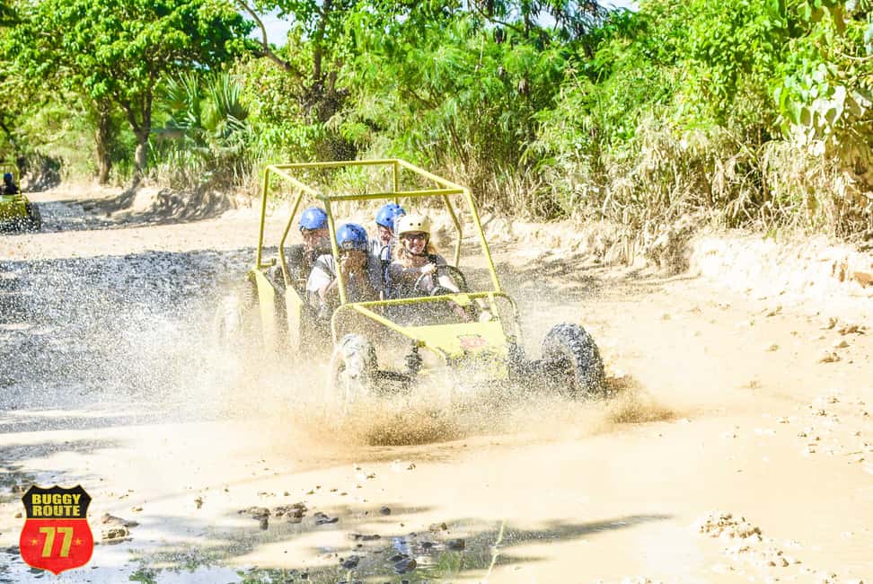 From Punta Cana: Countryside Off-Road Buggy Adventure - The countryside route: palms, tobacco, and mud that actually splashes