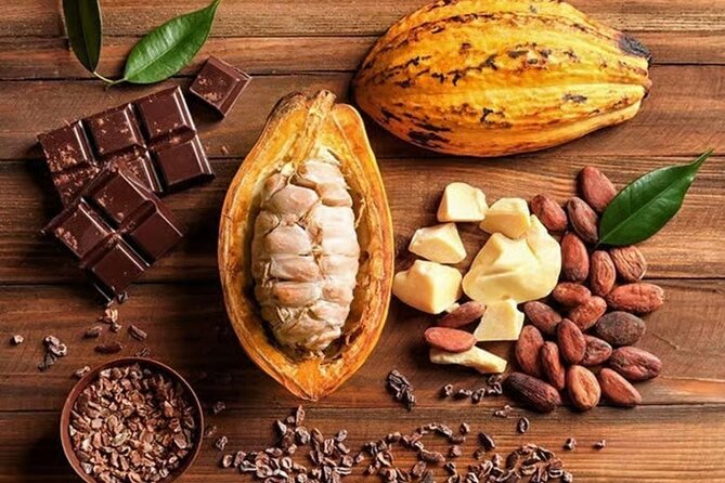 From Punta Cana: Higuey Expedition Cultural & Historic Tour - Coffee and cocoa plantations: tasting what you learn
