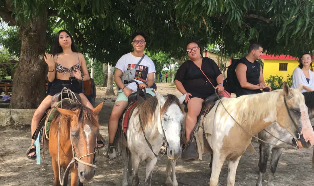 From Punta Cana: History and Culture Tour with River Swim - The Farm Stop: Coffee, Cocoa, Vanilla, and Fruit You Can Taste