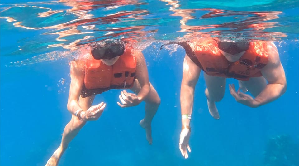 From Punta Cana or Bayahibe: Catalina Island with Snorkeling - Beach time plus Dominican BBQ buffet and open bar