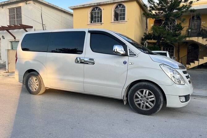 From Punta Cana Private Airport (PUJ) Shuttle To Hotel - Finding your driver fast: name sign in Punta Cana arrivals
