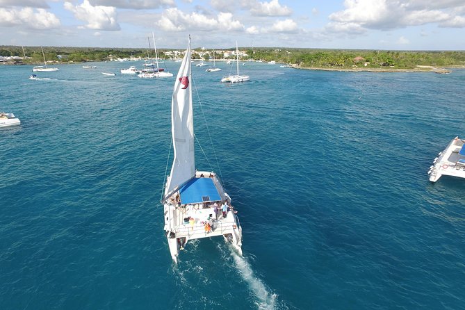 From Punta Cana: Saona Island & Altos de Chavon Day Trip with Lunch and Open Bar - The natural swimming pool stop: quick, fun, and tourist-friendly