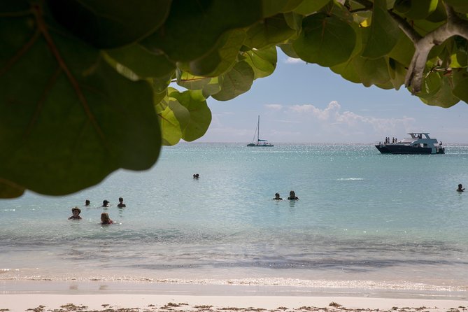 From Punta Cana: Saona Island & Altos de Chavon Day Trip with Lunch and Open Bar - Food, photos, souvenirs, and the reality of extras