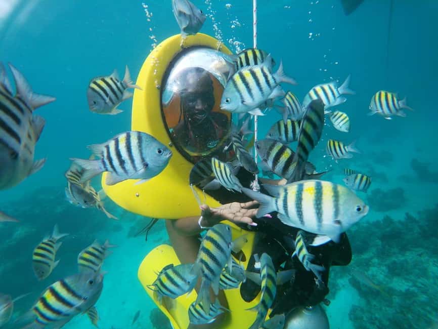 From Punta Cana: ScubaDoo, Snorkel & Glass Bottom Boat Tour - Why ScubaDoo works for beginners near Cabeza de Toro