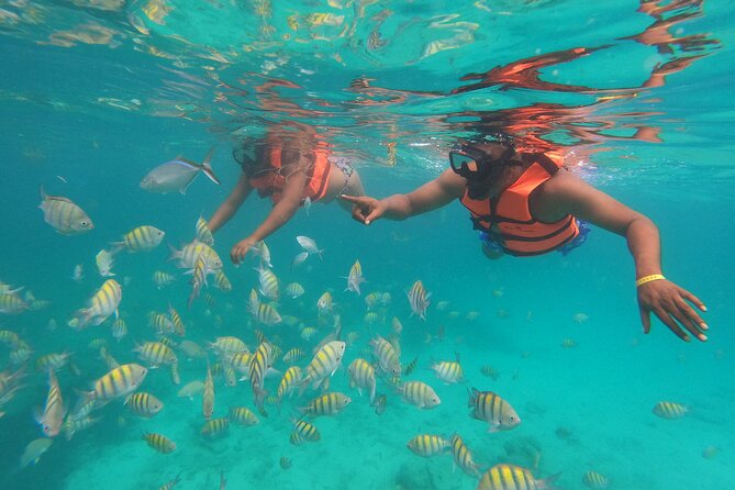 Full Day ATV Experience and Booze Cruise with Open Bar - Water Cave Visit: A Refresh Break With Character