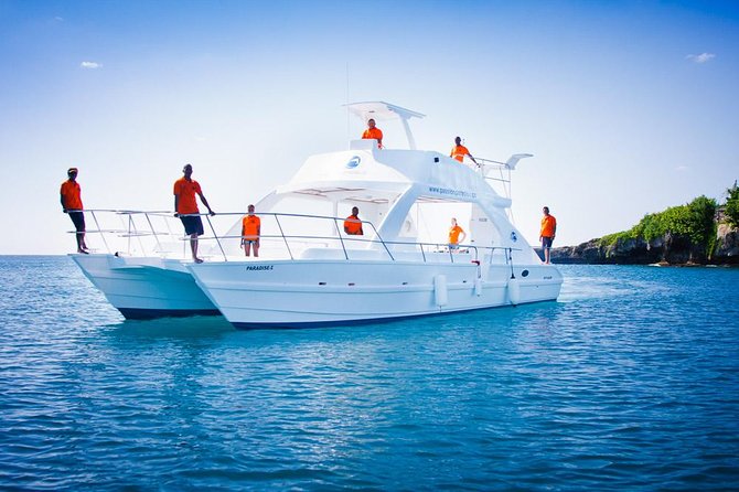 Full-Day Catalina Island Snorkeling Tour from La Romana - Guides, Gear, and How to Get Better Than Average Views