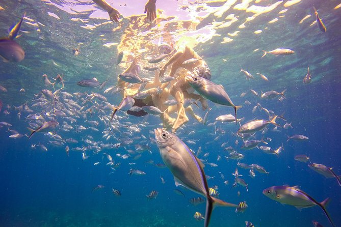 Full-Day Catalina Island Snorkeling Tour from La Romana - Who Should Book This Tour (and Who Might Skip It)