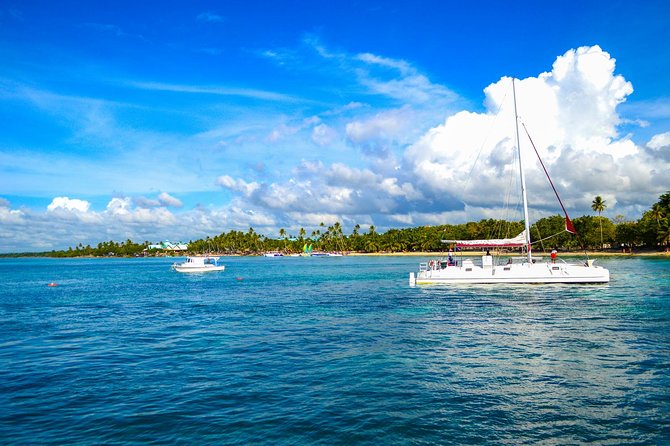 Full-Day Excursion in Saona Island - Lunch and drinks: what’s included (and what to expect)
