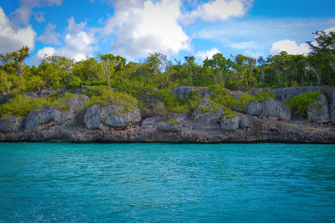 Full-Day Excursion in Saona Island - Catamaran return party: fun energy with sun-management tips