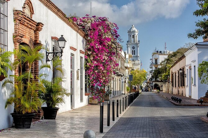 Full Day Santo Domingo City Tour: History of the Caribbean From Punta Cana - The U.S. occupation-era Presidential Mansion grounds: the Caribbean’s complicated layers