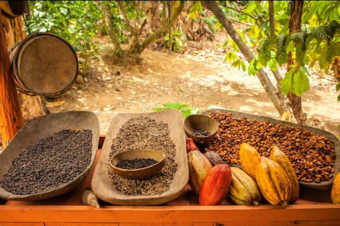 Half-Day Adventure 4x4 ATV, Water Cave and Dominican Culture - Los Hoyos del Salado Water Cave and Underground River Swim
