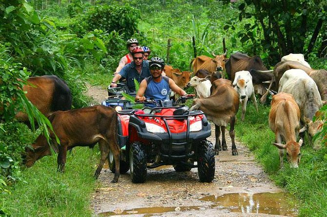 Half-Day Adventure 4x4 ATV, Water Cave and Dominican Culture - Safety Briefing and ATV Basics Before You Hit the Jungle