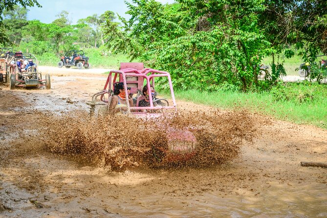 Half-Day Buggy Tour to Water Cave and Macao Beach - The Organic Farm Stop: Tastings, Tropical Gardens Roads, and the Reality of a “Farm” Visit