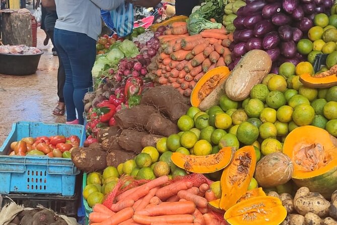 Half-day City tour cultural from punta cana for small group - Key highlights to look for