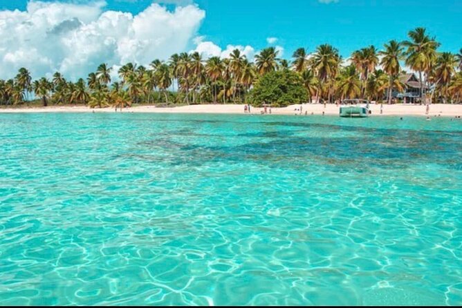 Half-day Private Catamaran Trip with Snorkeling - Drinks and Snacks: What the Open Bar Actually Means for You