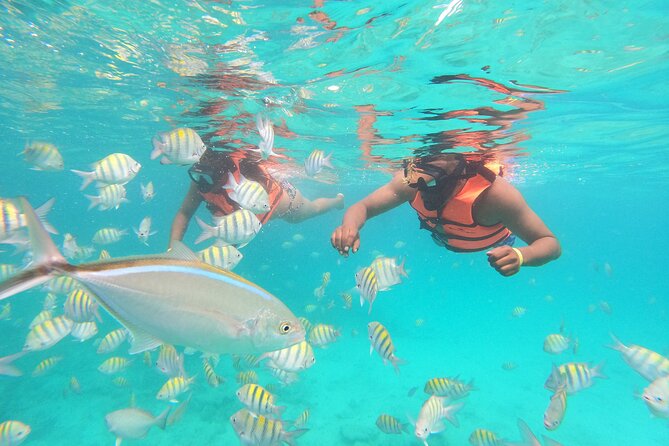 Half-Day Private Party Boat and Snorkeling in Punta Cana - Music You Choose: The Party Part Makes Sense
