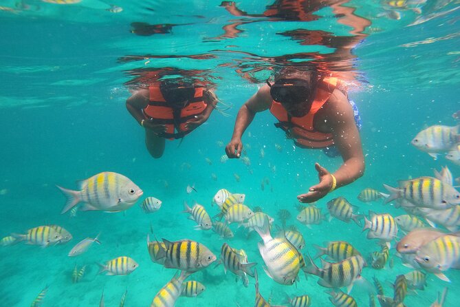 Half-Day Snorkeling Cruise and Natural Pool with Open Bar - Key points before you go
