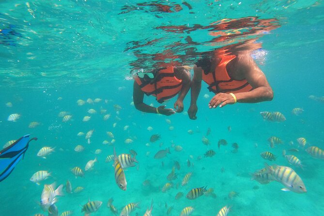 Half-Day Snorkeling Cruise and Natural Pool with Open Bar - Open bar and onboard party time: snacks, music requests, and cool-downs