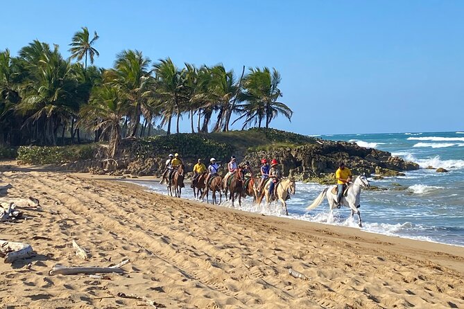 Horseback Riding Adventure Punta Cana - Key highlights to know before you go
