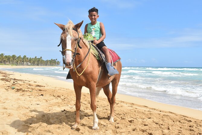 Horseback Riding Adventure Punta Cana - Hotel pickup and group size: easy for families, smoother than big tours