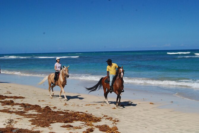 Horseback Riding Adventure Punta Cana - Price and value: why $40 can make sense